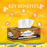 MISTIQUE 2 Ply Facial Tissue Paper |  Pack of 4 (100 Pulls Per Box, 200 Sheets)